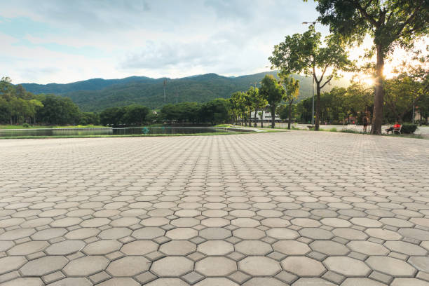 Best Driveway Pavers Near Me  in Myrtle Point, OR