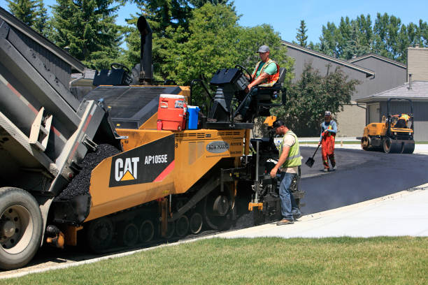 Best Driveway Pavers Near Me  in Myrtle Point, OR